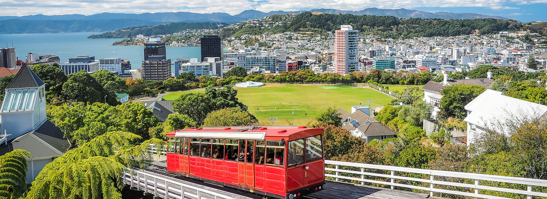wellington